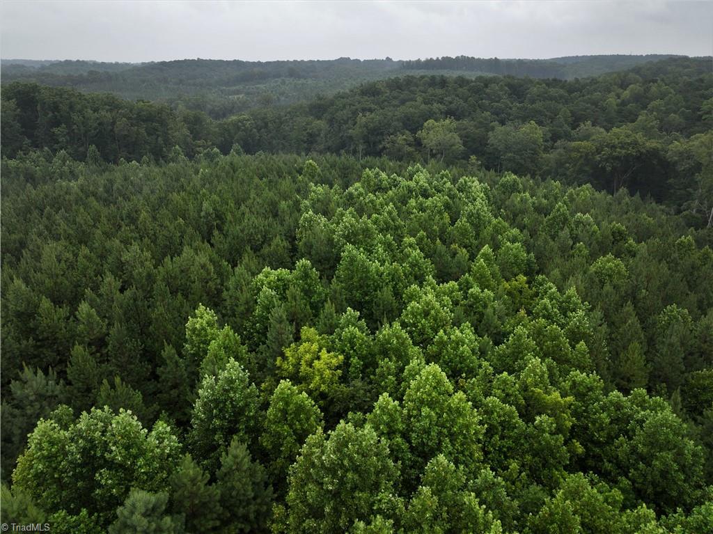 491 Spring Road Reidsville, NC 27320 - Photo 4 of 13 Gallery Image 4