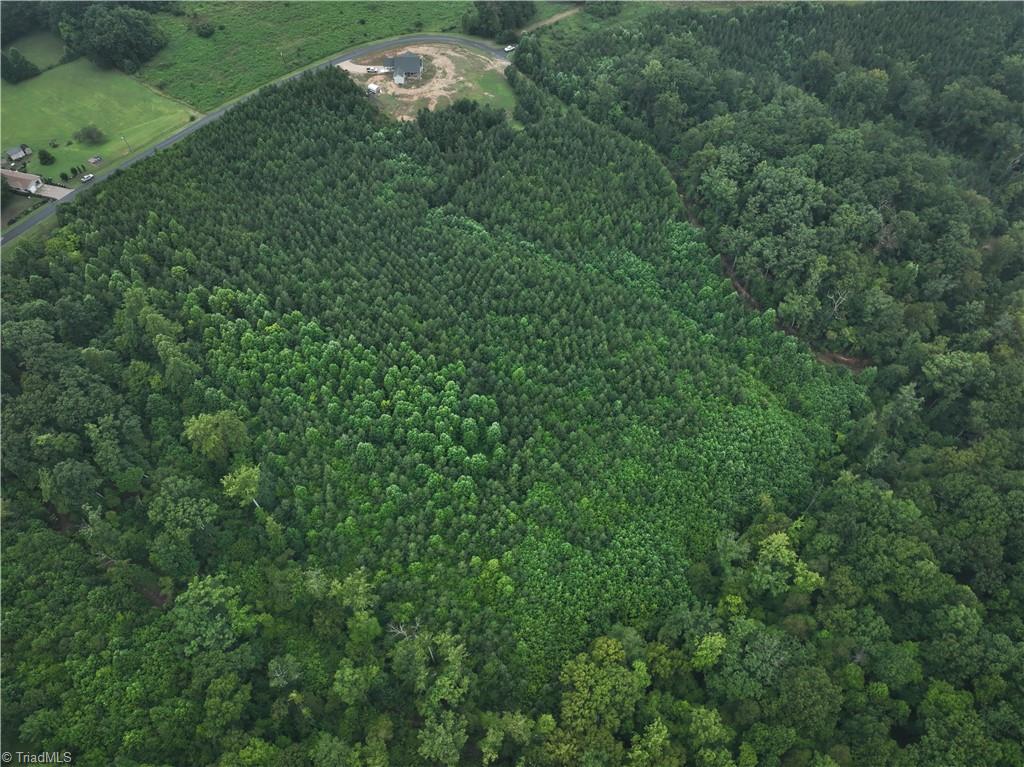 491 Spring Road Reidsville, NC 27320 - Photo 8 of 13 Gallery Image 8