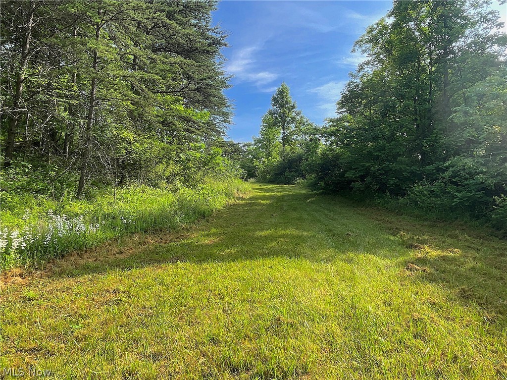 35173 Merrill Ridge Road Graysville, OH 45734 - Photo 12 of 23 View of yard