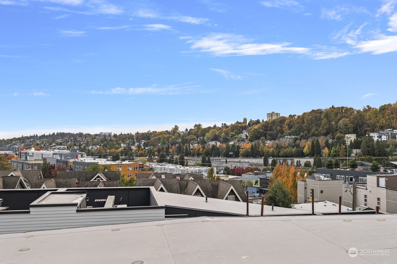 1620 South Lane Street, Unit E Seattle, WA 98144 - Photo 4 of 29