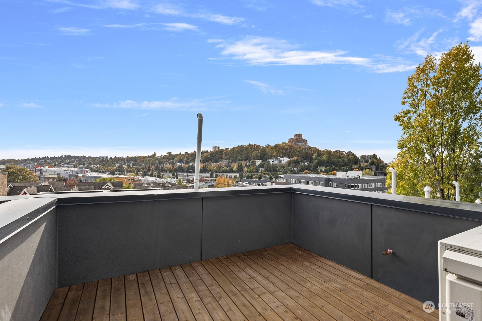 1620 South Lane Street, Unit E Seattle, WA 98144 - Photo 4 of 29