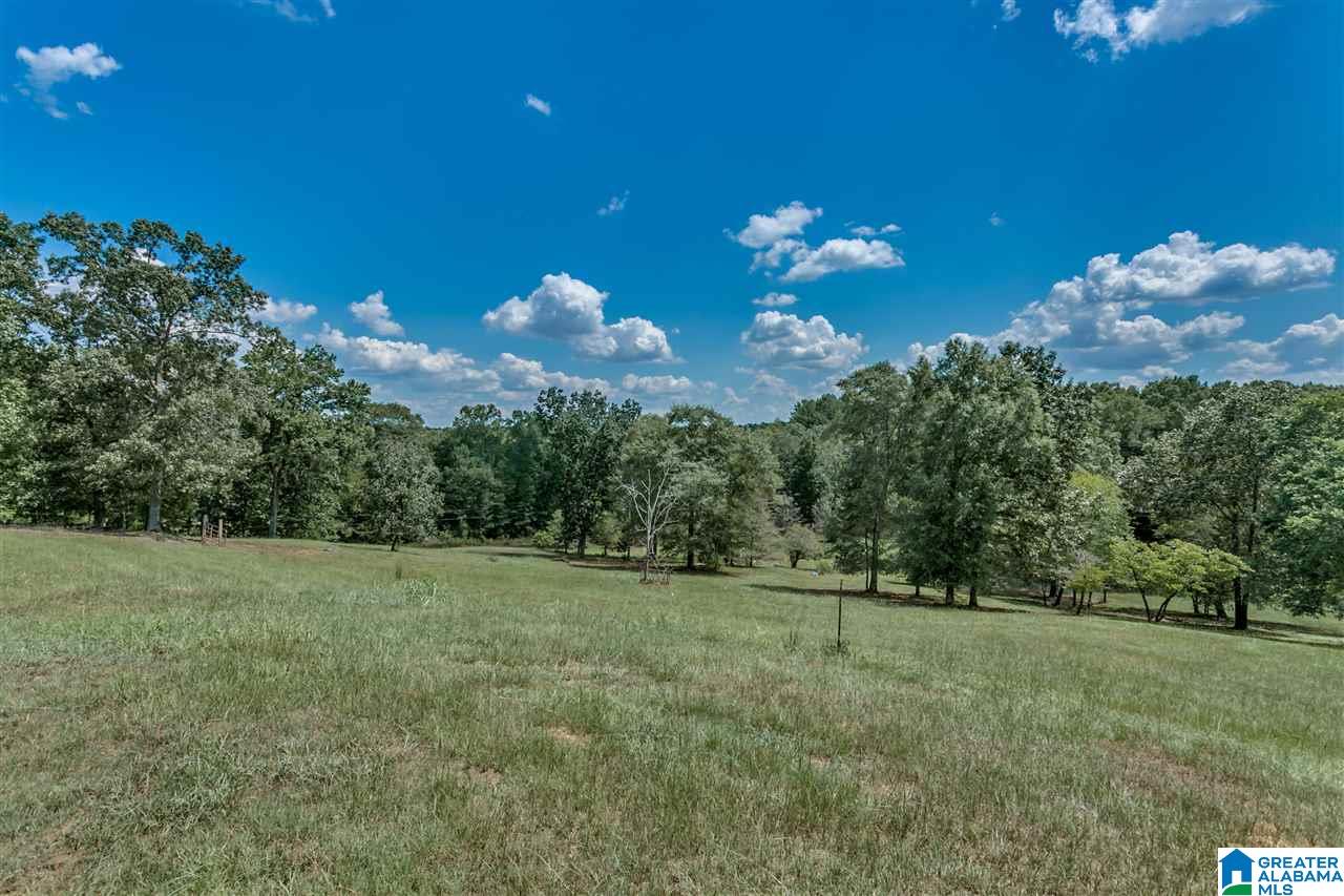184 Jenkins Farm Road Helena, AL 35080 - Photo 8 of 25