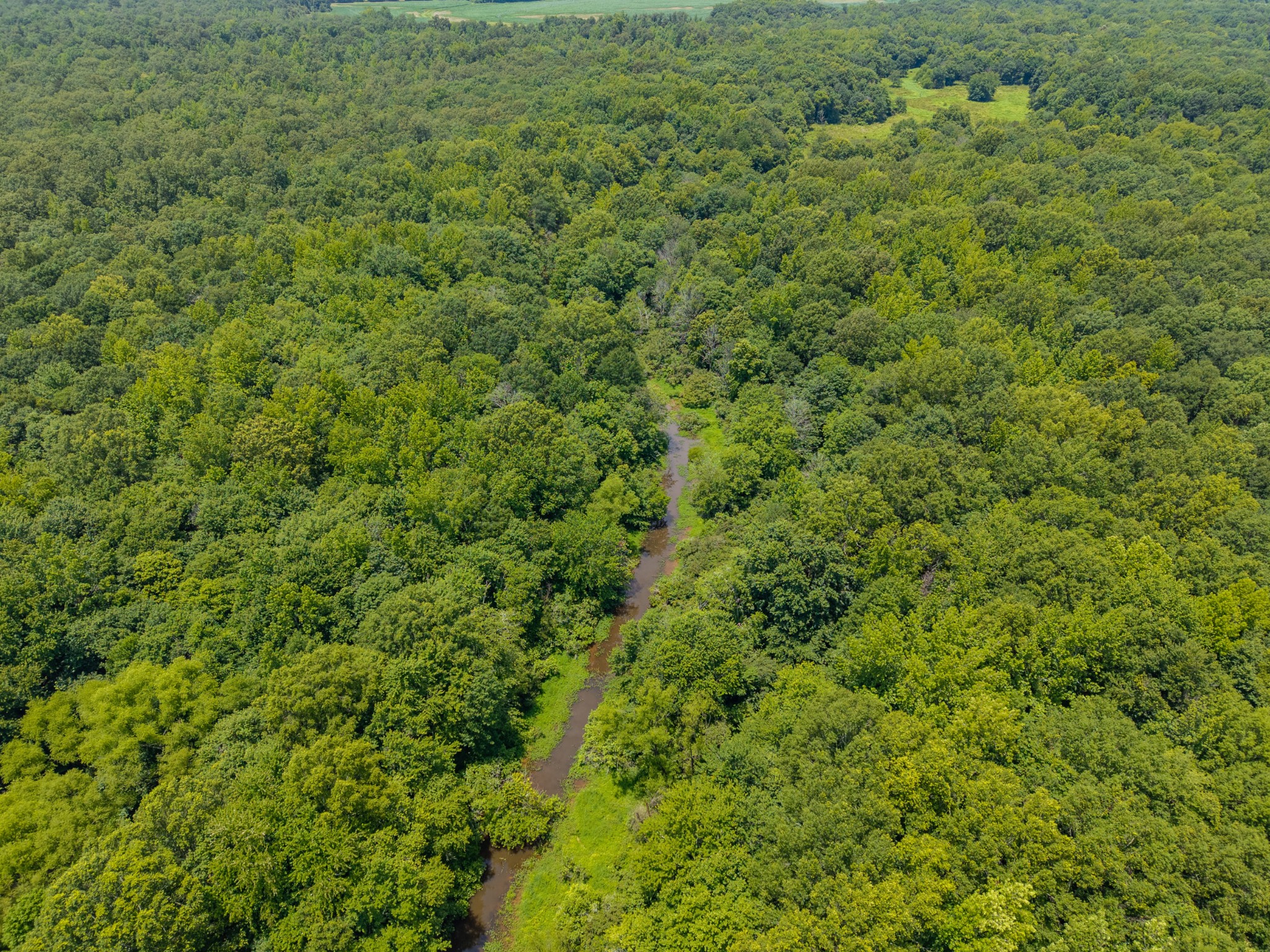 0 Old Railroad Bed Road Taft, TN 38488 - Photo 5 of 9