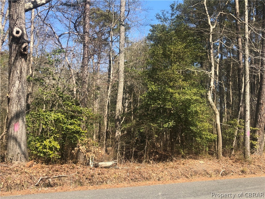 0 Crab Neck Road Hudgins, VA 23076 - Photo 4 of 4