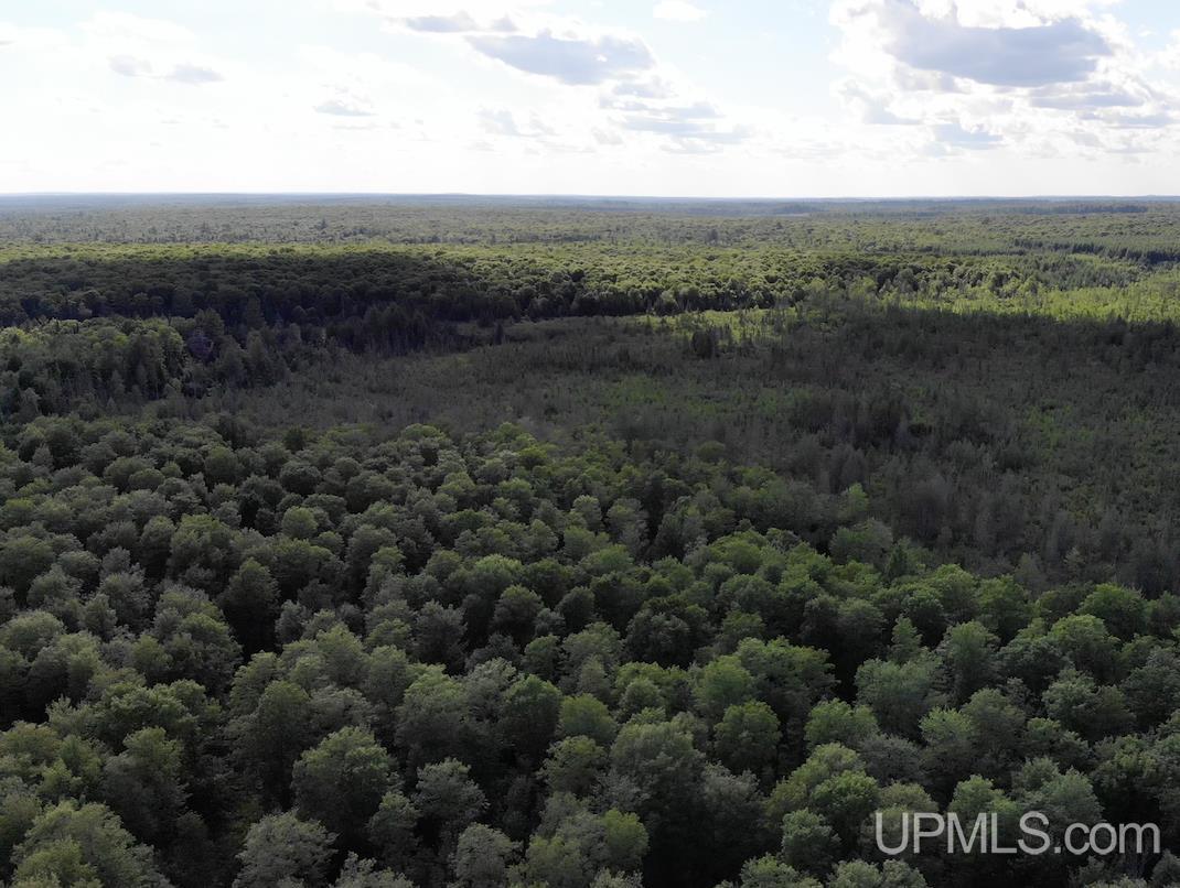 Tbd1 Cut Across Road Michigamme, MI 49861 - Photo 3 of 15
