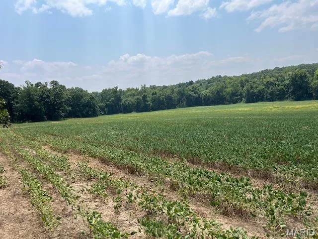 $336,000 | 56-acres Elk Head Road, Bland, MO 65014