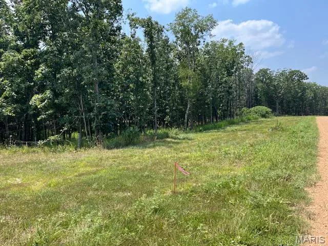 $336,000 | 56-acres Elk Head Road, Bland, MO 65014