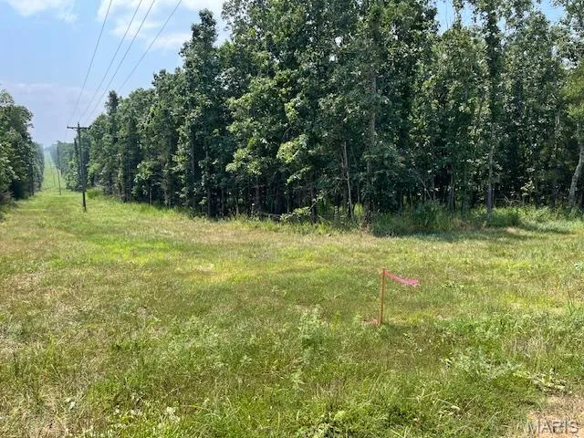 $336,000 | 56-acres Elk Head Road, Bland, MO 65014