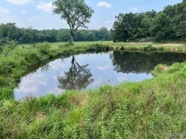 $336,000 | 56-acres Elk Head Road, Bland, MO 65014