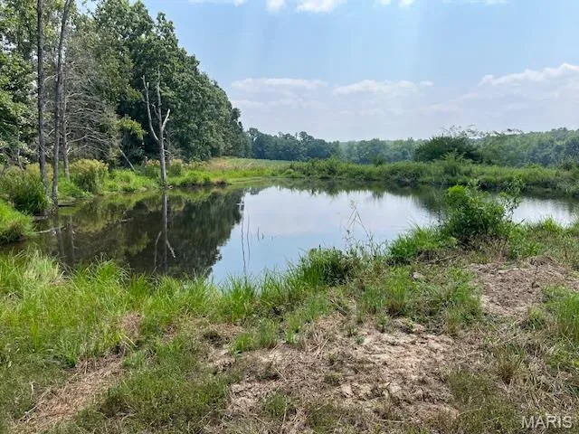 $336,000 | 56-acres Elk Head Road, Bland, MO 65014