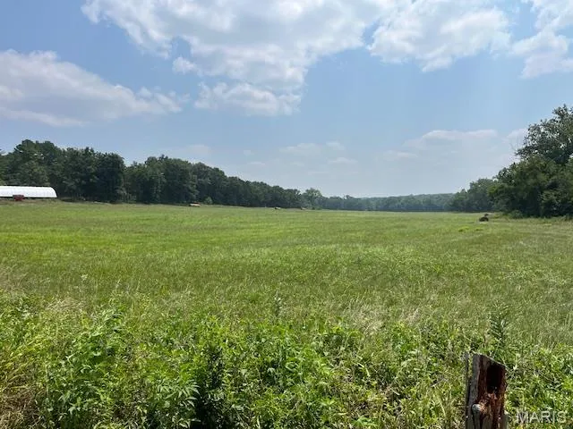 $336,000 | 56-acres Elk Head Road, Bland, MO 65014