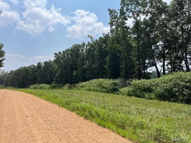 $336,000 | 56-acres Elk Head Road, Bland, MO 65014