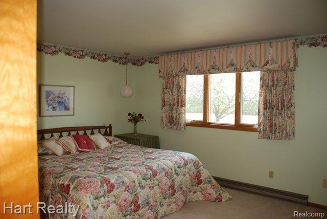 3731 Frenchline Road Marlette, MI 48453 - Photo 15 of 22 Master