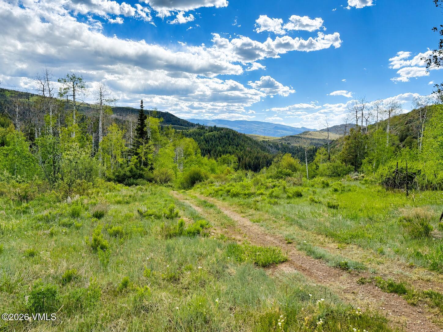 6010 Salt Creek Road Eagle, CO 81631 - Photo 39 of 69 Trail to Parcel 3