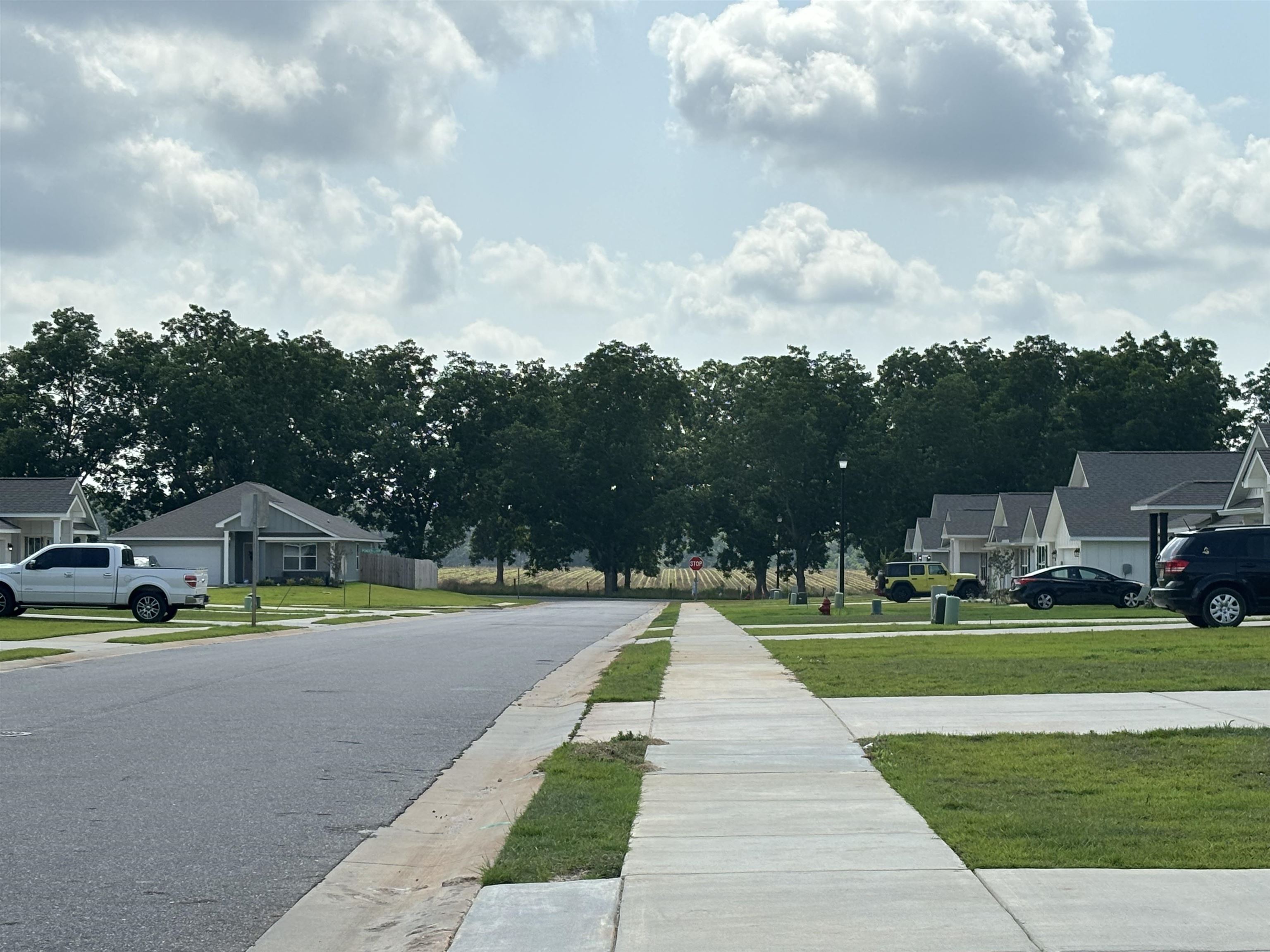24613 Ponder Loop Loxley, AL 36551 - Photo 15 of 43 Community Snap Shot