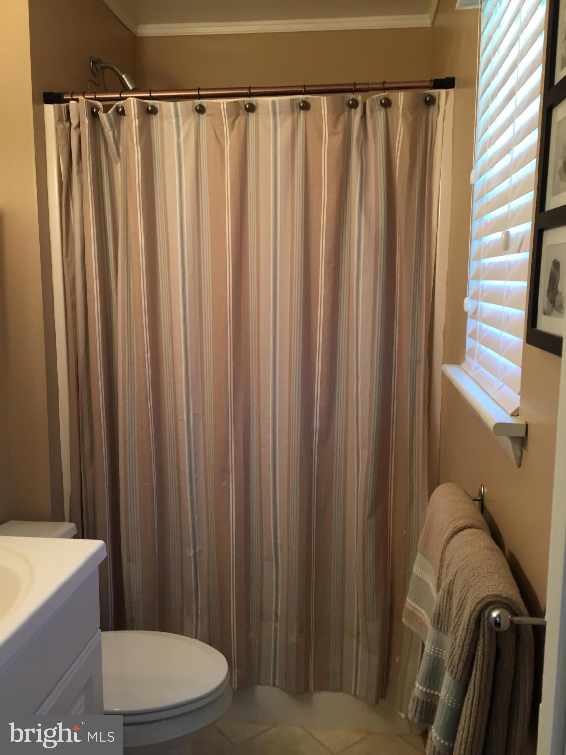 3049 Tudor Hall Road Riva, MD 21140 - Photo 11 of 30 a bathroom with a sink a toilet a mirror and shower curtain