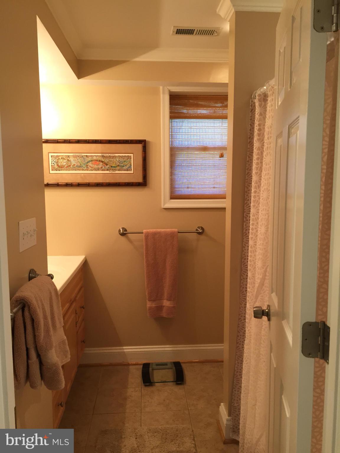 3049 Tudor Hall Road Riva, MD 21140 - Photo 23 of 30 a bathroom with a shower