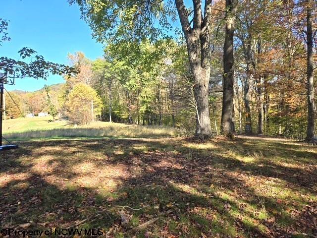 540 Cherry Run Road Craigsville, WV 26205 - Photo 38 of 42 Gallery Image 38