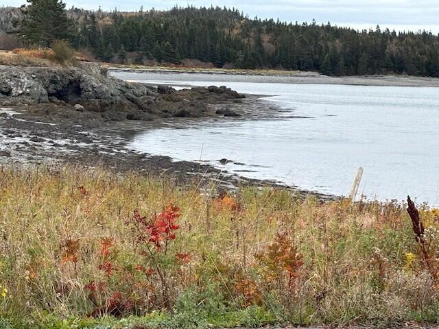 0 Boot Cove Road Lubec, ME 04652 - Photo 8 of 9