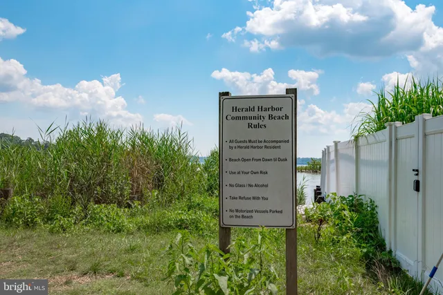 a view of a patio with table and chairs under an umbrella with a large tree