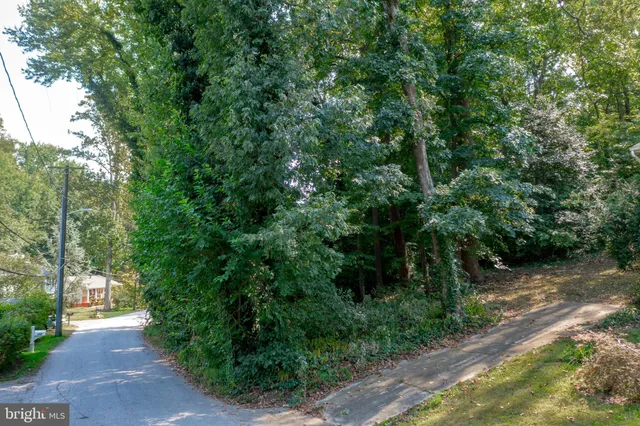 a view of a street with trees and bushes