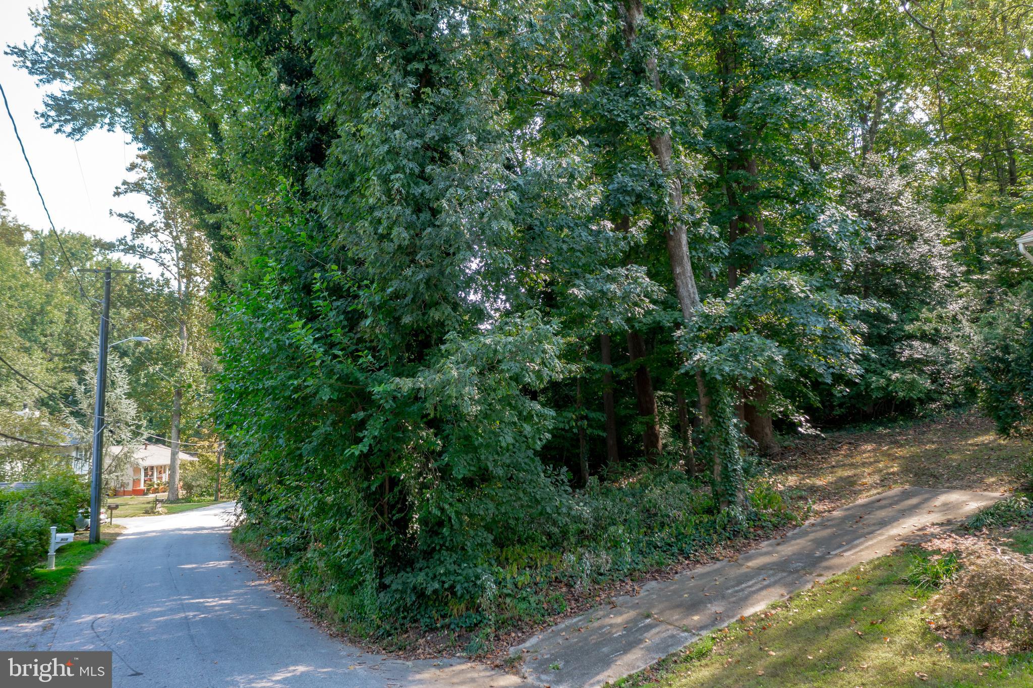 902 Hine Trail Crownsville, MD 21032 - Photo 5 of 28 a view of a street with trees and bushes