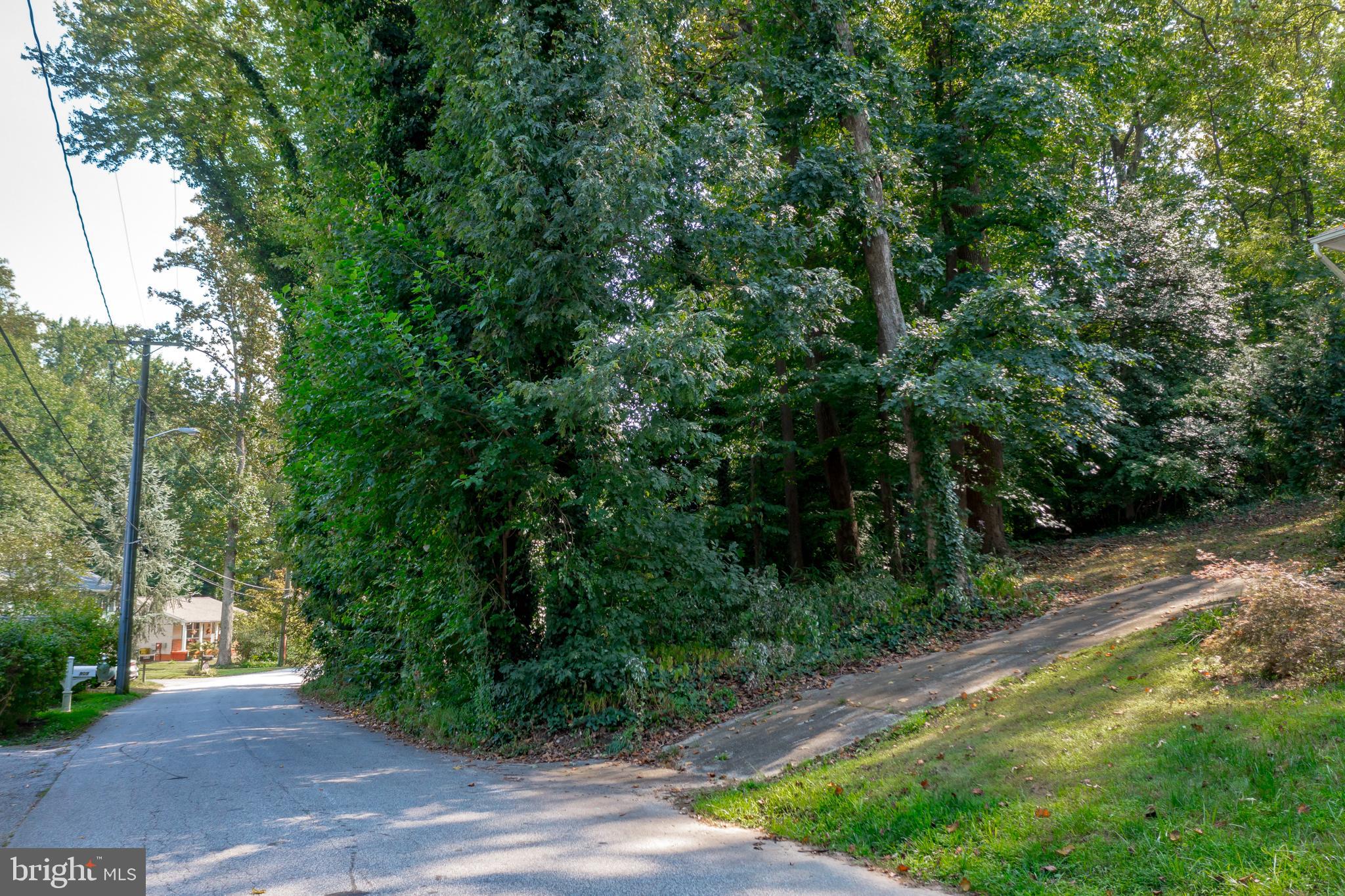902 Hine Trail Crownsville, MD 21032 - Photo 8 of 28 a view of a park with large trees