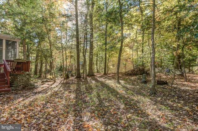 a view of a wooden balcony and trees