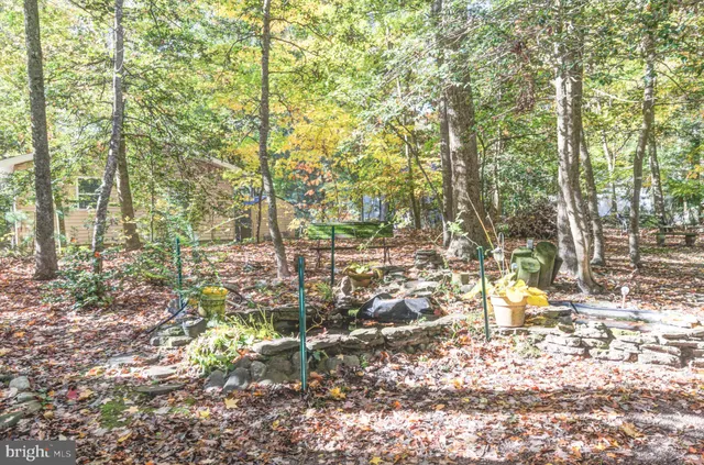 a view of backyard with deck and wooden floor