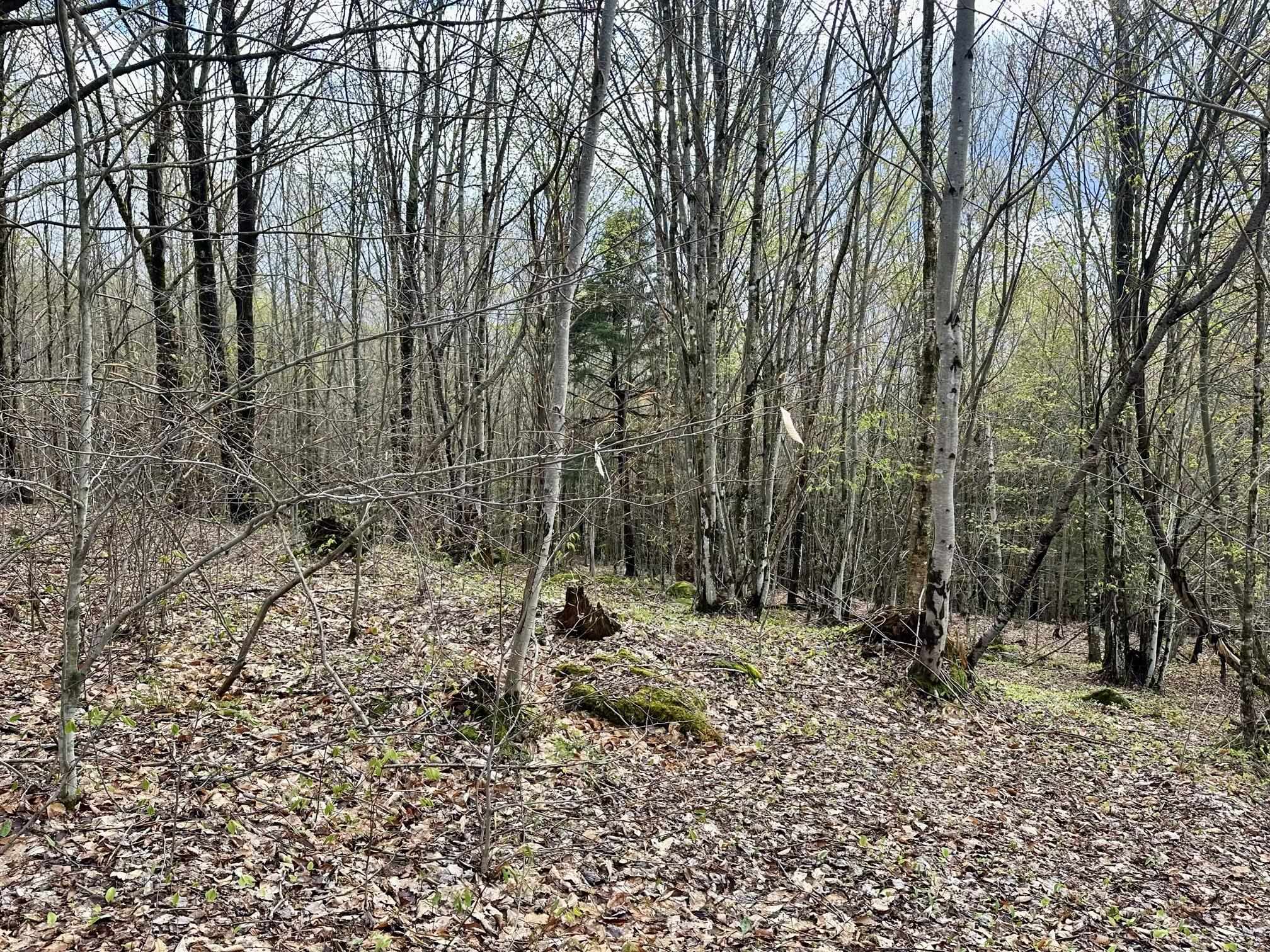 0 Brookview Lane, Unit 4 Wolcott, VT 05680 - Photo 10 of 15