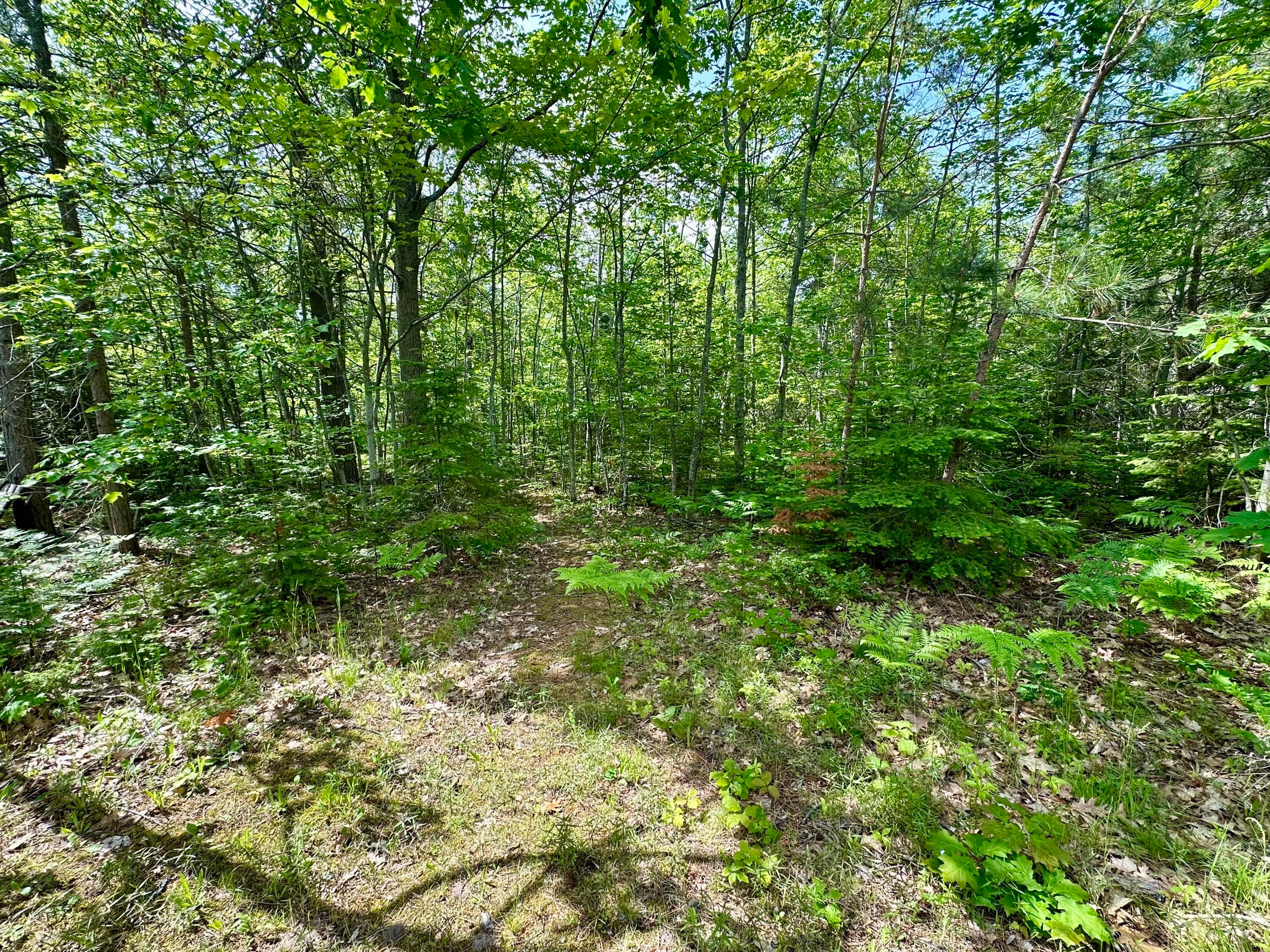 7984 Highway 23 Cheboygan, MI 49721 - Photo 36 of 40 Acreage