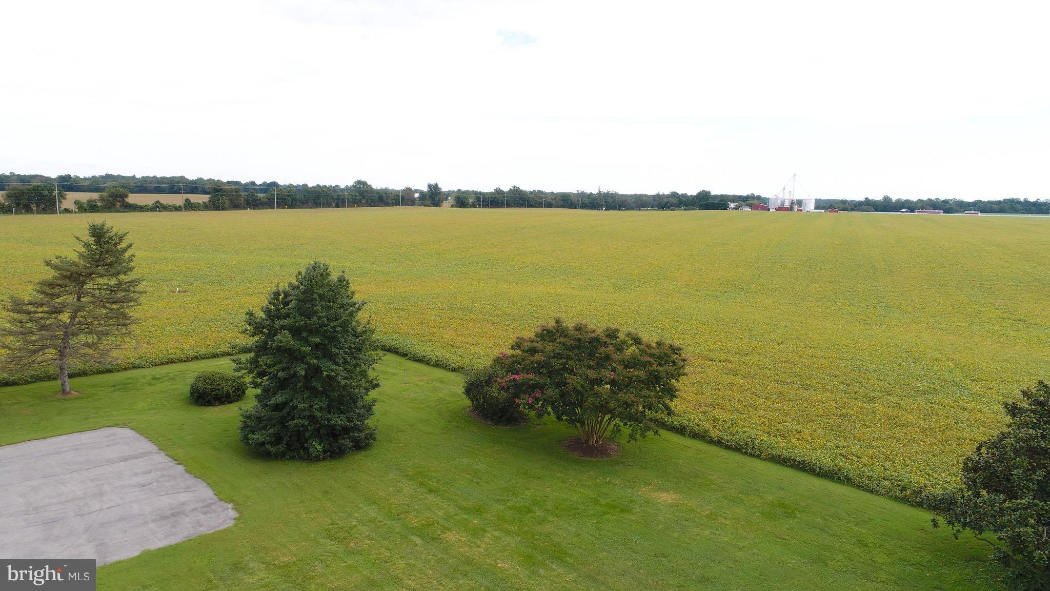 8551 Broad Neck Road Chestertown, MD 21620 - Photo 5 of 24 View