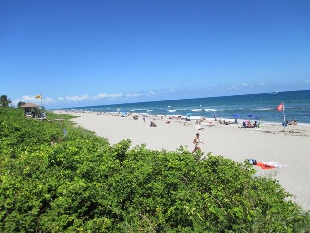 364 Golfview Road, Unit 407 North Palm Beach, FL 33408 - Photo 23 of 26 Close to beaches.