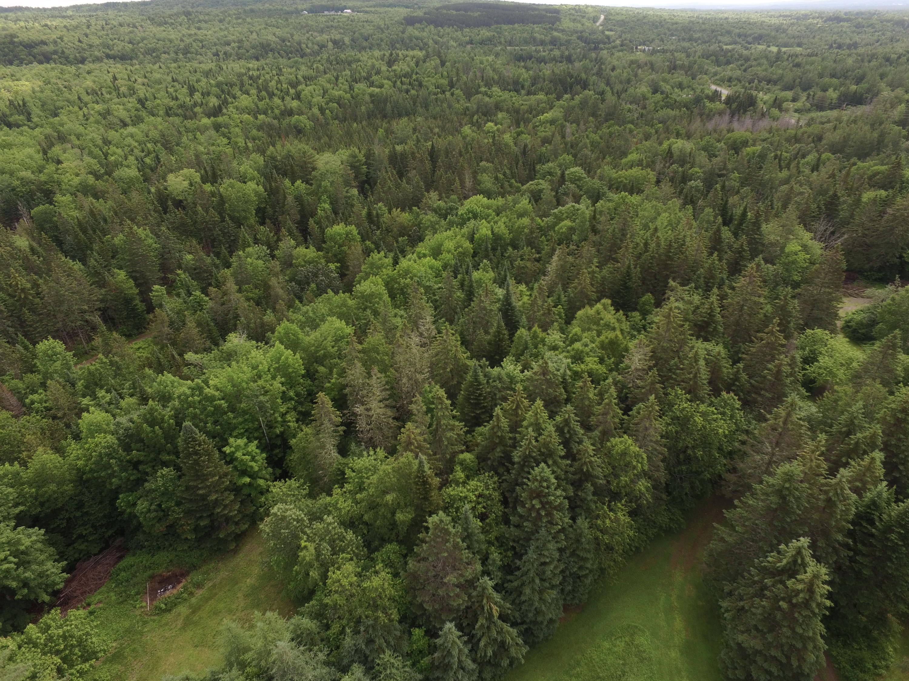1661 Ludlow Road Houlton, ME 04730 - Photo 19 of 63 DJI_0069
