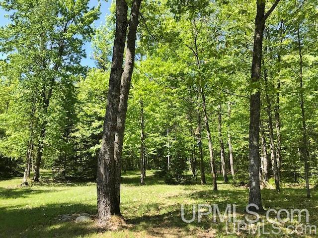 W11251 County Road Dunbar, WI 54119 - Photo 21 of 22