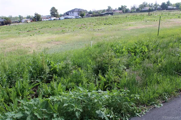 a view of an outdoor space and a yard