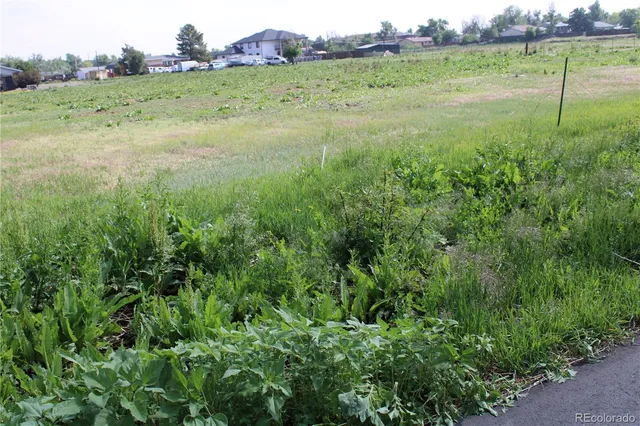 a view of an outdoor space and a yard