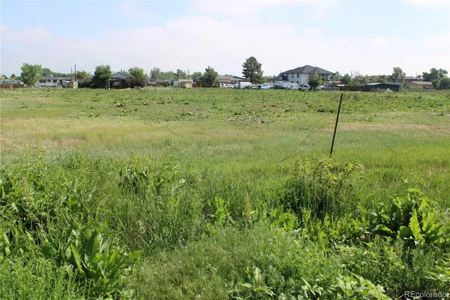 a view of a field with a tree in it