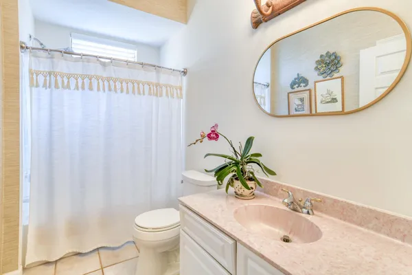 a view of a yard with plants