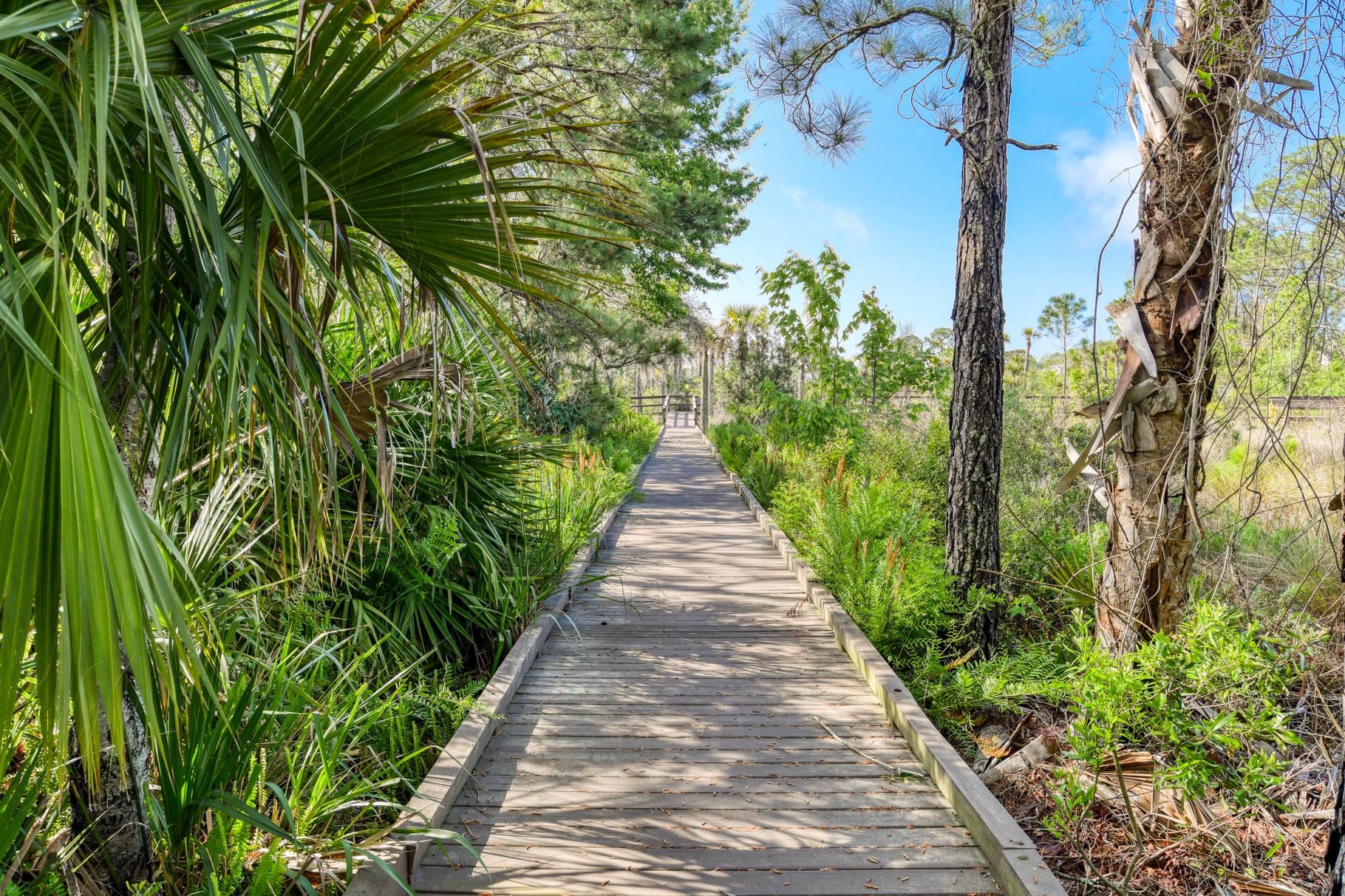 1825 Vista Cove Road St. Augustine, FL 32084 - Photo 5 of 66
