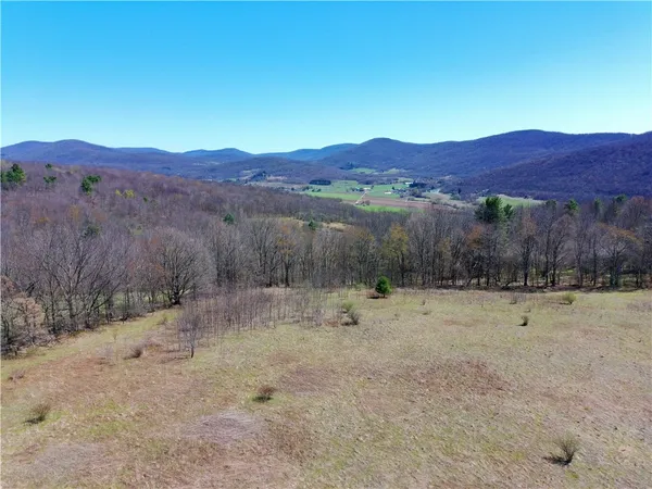 $349,000 | Lot #12.12 Kiff Brook Road, Bloomville, NY 13739
