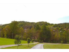 1243 Fordtown Road Jonesborough, TN 37659 - Photo 2 of 4 Photo 2