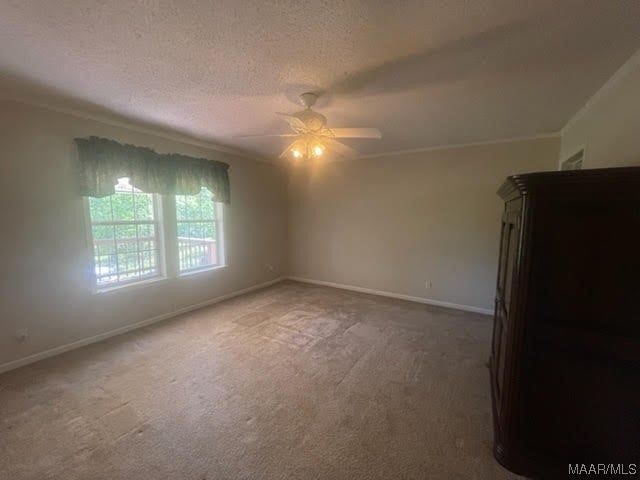 628 Old Elba Road Coffee Springs, AL 36318 - Photo 14 of 32 Gallery Image 14