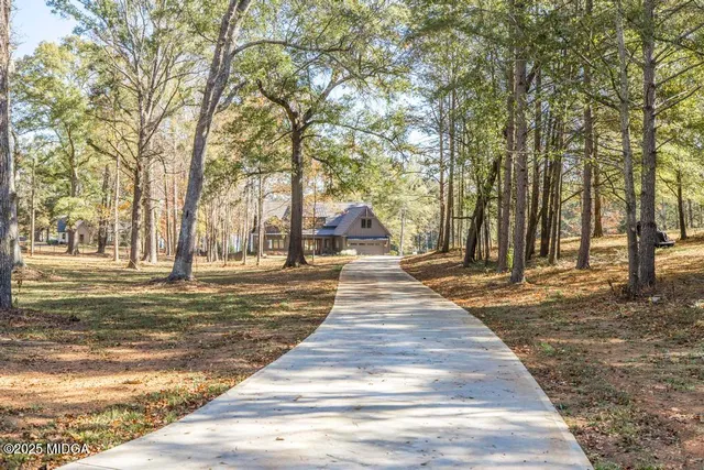 a park with large trees