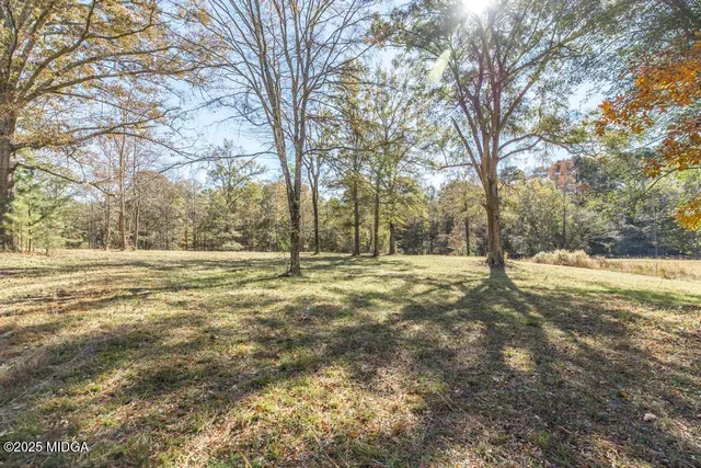 a view of outdoor space with trees