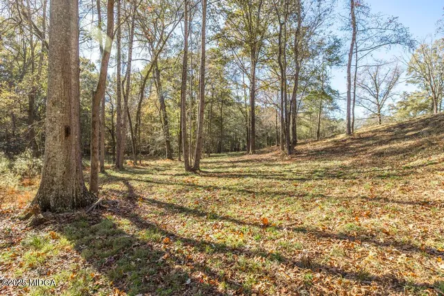 a view of outdoor space with trees