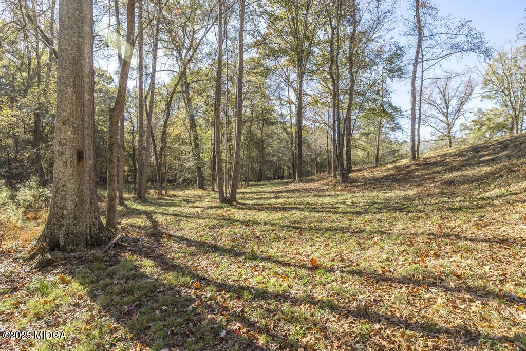 1731 Blue Springs Road Buckhead, GA 30625 - Photo 3 of 50 a view of outdoor space with trees