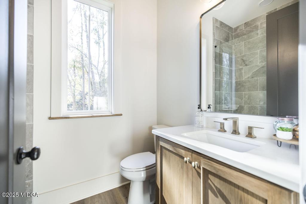 1731 Blue Springs Road Buckhead, GA 30625 - Photo 48 of 50 a bathroom with a sink a toilet and a mirror