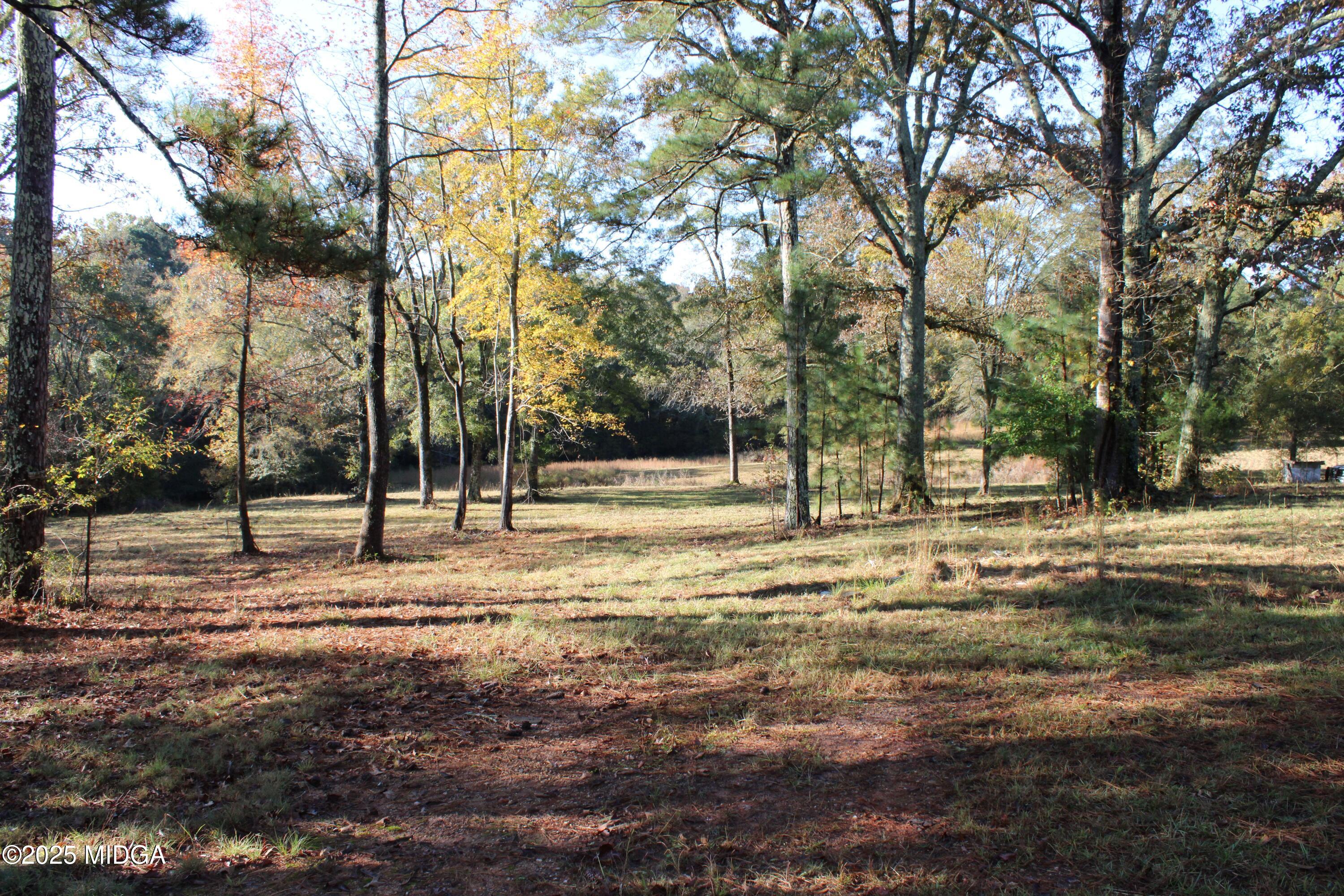 1731 Blue Springs Road Buckhead, GA 30625 - Photo 5 of 50 a view of a yard with a trees