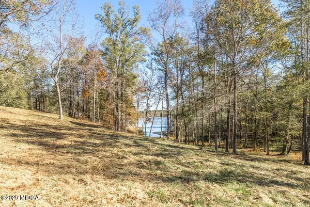 a view of a yard with a tree